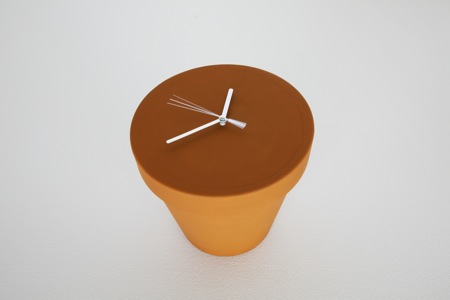 PFLANZE: DAS REGULIERTE